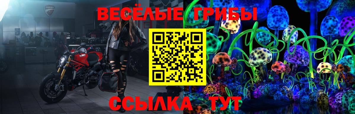 Ростов Великий  Псилоцибиновые грибы мицелий  Вход с VPN  Псилоцибиновые грибы мицелий 